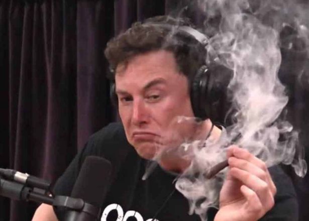 Elon Musk rookt cannabis