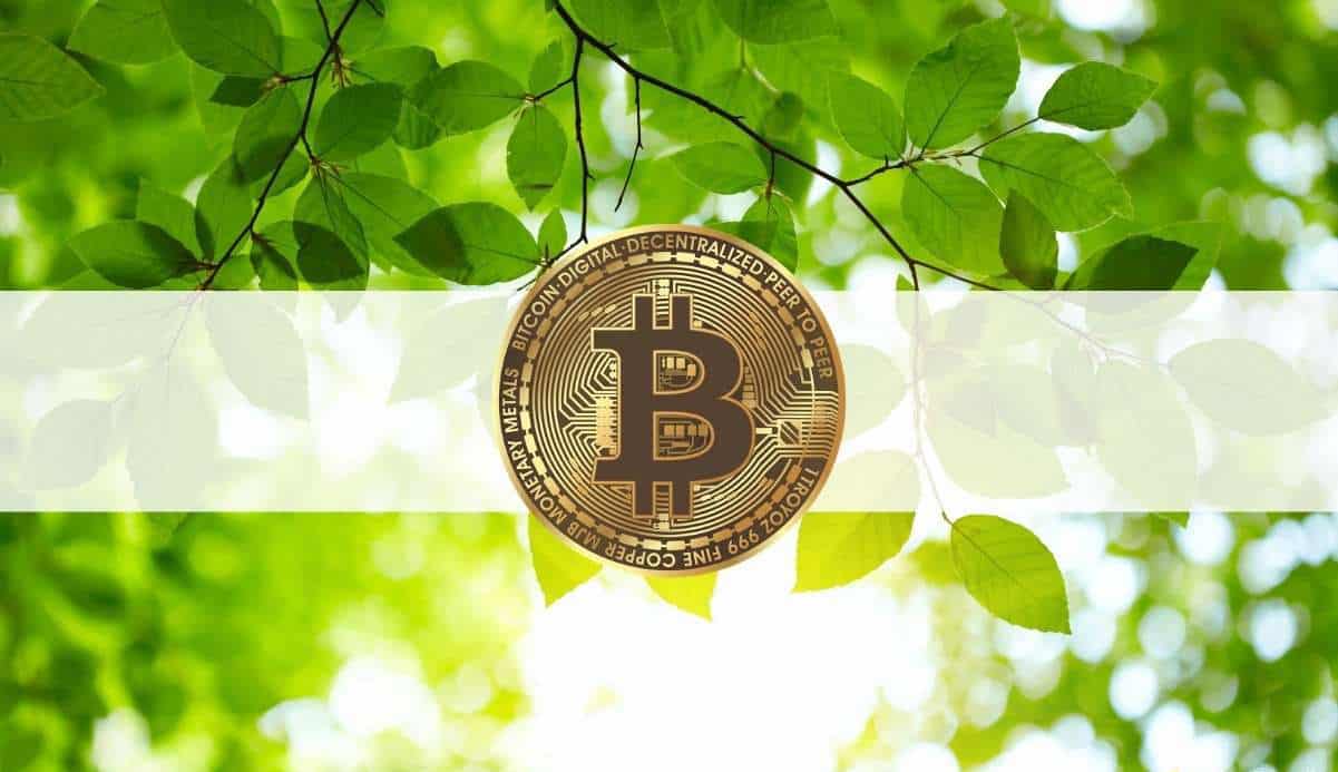 Zelene bitcoin