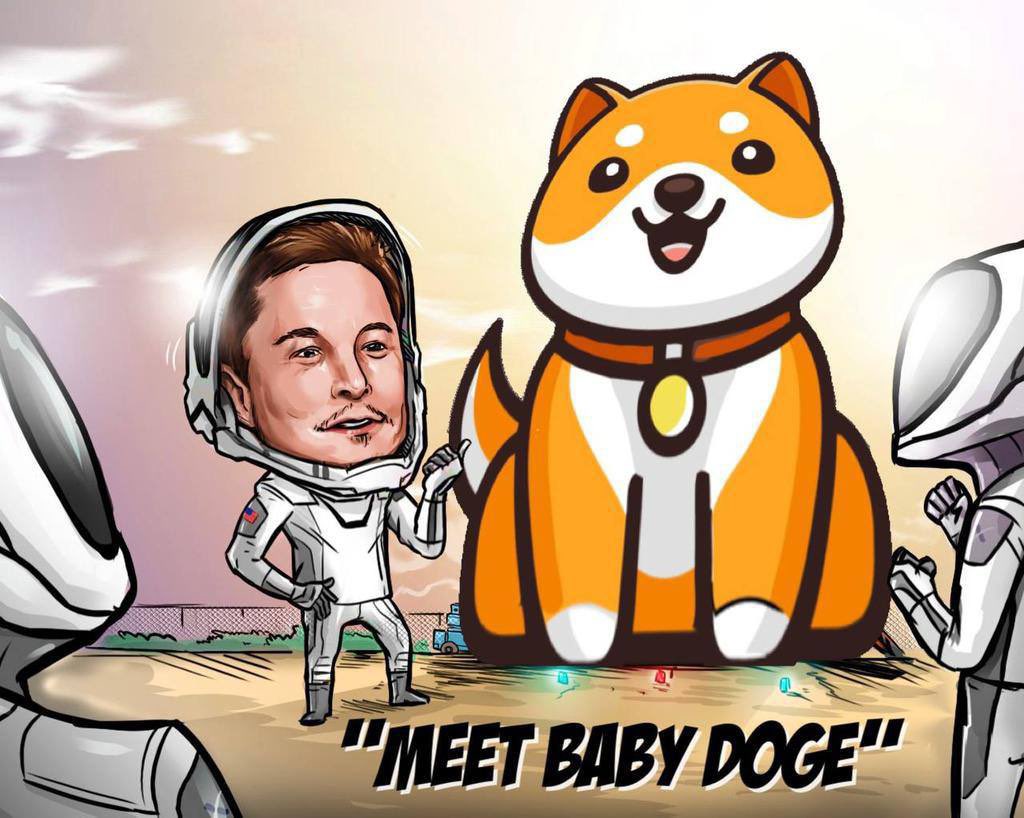 Baby doge coin