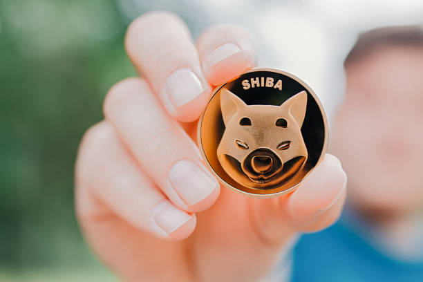 Shiba Inu (SHIB) Is Up 800% In 30 Days, What Is Pushing It?