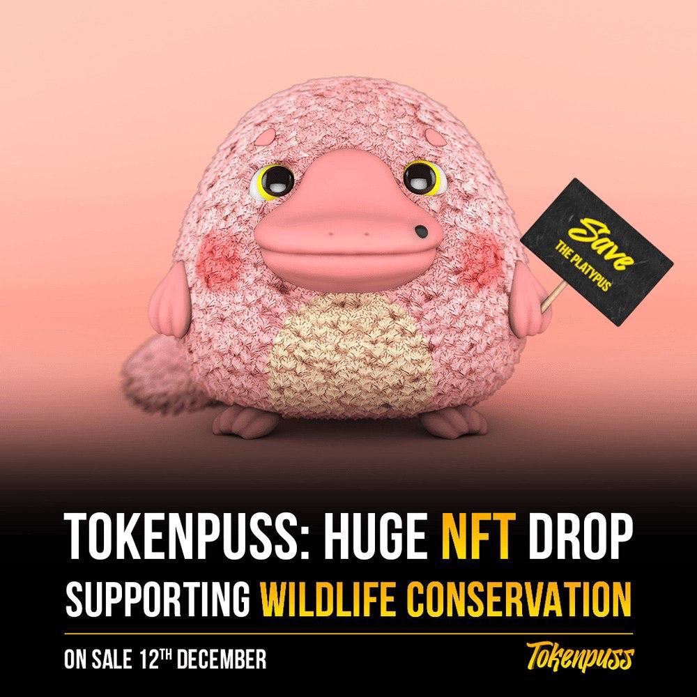 Tokenpuss NFT skabt til at hæve Awareness Of Platypus Extinction