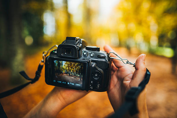 Gli NFT riformano le strategie di marketing artistico per la fotografia