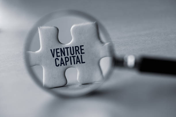 Notable Venture Capital (VC) Firms Quietly Shift Focus To Web3 And P2E-related Projects