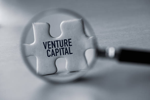 Notevoli aziende di Venture Capital (VC) spostano silenziosamente l'attenzione su progetti Web3 e P2E