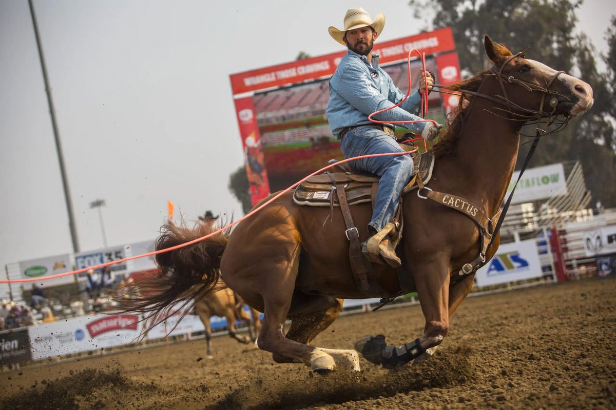 Profesionali Rodeo kaubojų asociacija išlaisvina NFT